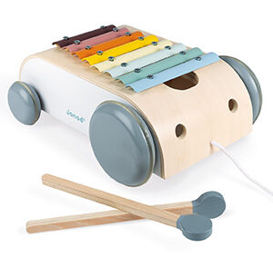Janod - Xylo Roller Sweet Cocoon